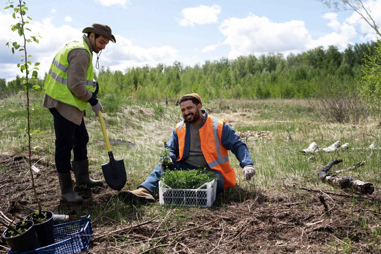 Best Arborist Services Near Me  in Union City, MI